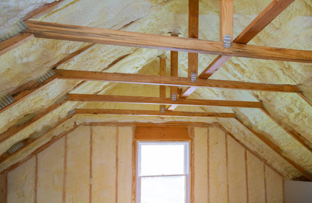 Best Insulation Replacement Services  in Astor, FL