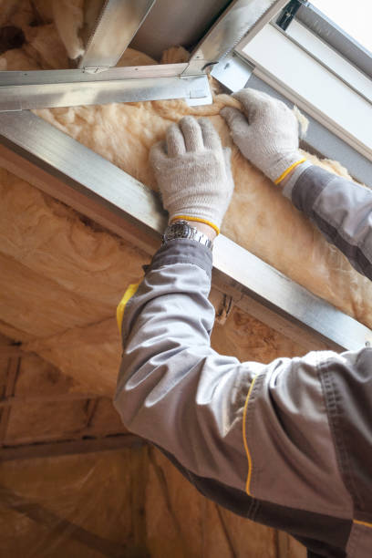 Best Insulation Contractors for Homes  in Astor, FL