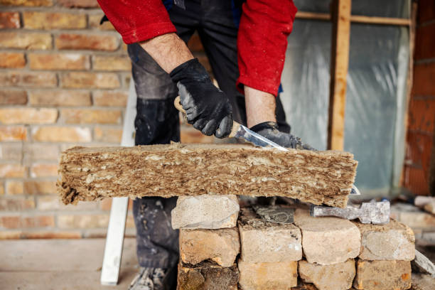 Best Attic Insulation Installation  in Astor, FL