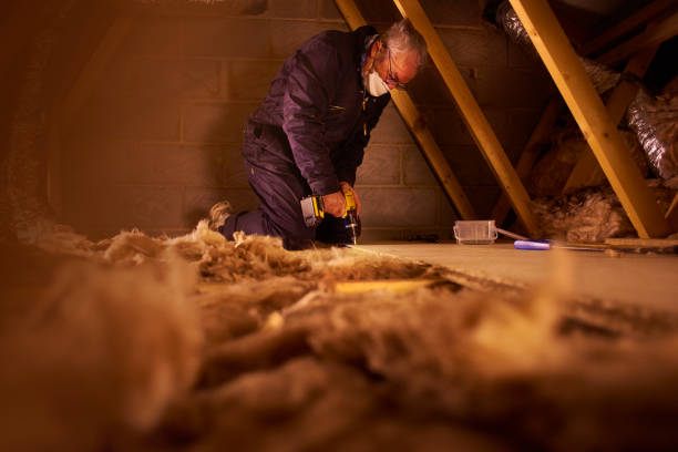 Best Affordable Insulation Services  in Astor, FL